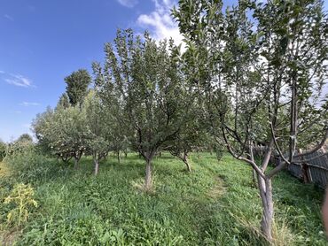 Продажа домов: Дом, 500 м², 6 комнат, Собственник, ПСО (под самоотделку) — 28