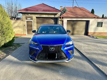 Lexus: Lexus NX: 2018 г., 2 л, Автомат, Бензин, Кроссовер