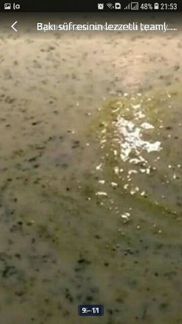 Sifarişlə hazır yeməklər: Bakı süfresinin lezzetli teamlarıına baxın ve daimi müşterimiz olun — 3