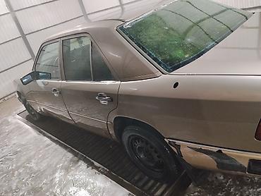 bye e5: Mercedes-Benz E-Class: 1991 г., 3 л, Механика, Дизель, Седан — 2