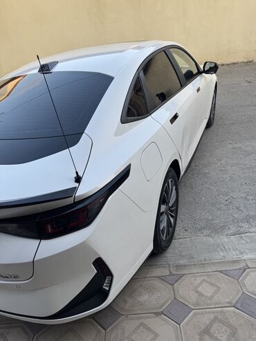 Avtomobil salonu üçün digər detallar: Elektrik krossover salonu – modern texnologiya və komfort - Panorama — 16