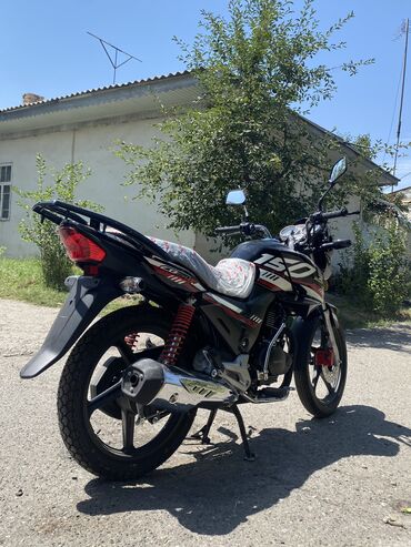 продажа скутеров в бишкеке: Классический мотоцикл Honda, 150 куб. см, Бензин, Взрослый, Новый