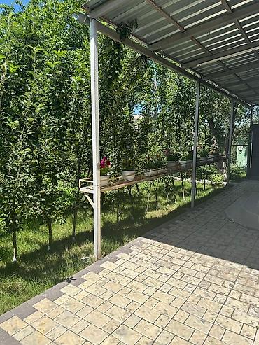 Продажа дачи: Продается дача в Кашка суу в СТ «Наука» Участок 6 соток красная книга — 22