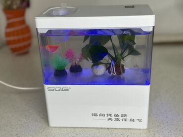 дом для животных: 🐠 Настольный мини-аквариум с рыбкой Продаём в связи с переездом 🏡 📏