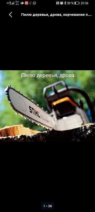 постройка: Услуги по распилу и уходу за деревьями - Спил деревьев любой — 1