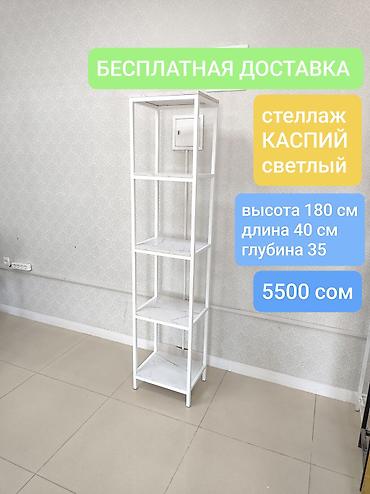 полки книжный: Полка для вещей и одежды, Новый, Железо, Бесплатная доставка — 1