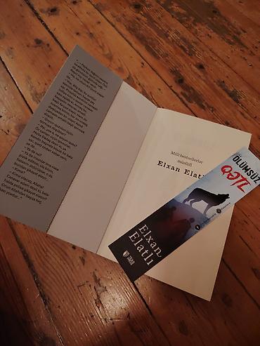 Bədii ədəbiyyat: **Elxan Elatlı – “Ölümsüz Qətl”** Elxan Elatlının **“Ölümsüz — 2