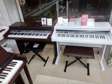 Piano və fortepianolar: Piano və Pianino 🎼 Piano 🎹 Pianino Elektron Pianino 👌 Piano elektro