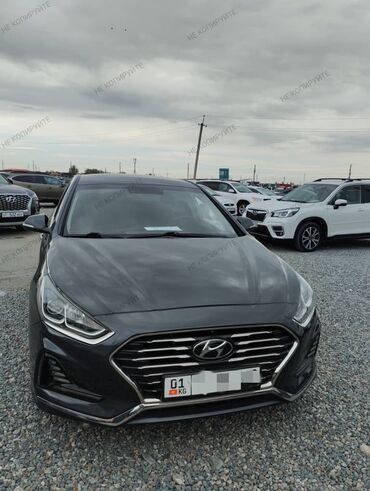 продаю хюндай саната: Hyundai Sonata: 2017 г., 2 л, Автомат, Газ, Седан