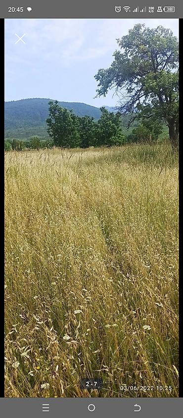 Torpaq sahələrinin satışı: Kənd təsərrüfatı — 6