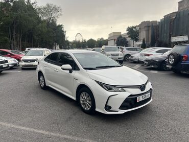 люк на камри: Toyota Corolla: 2019 г., 1.8 л, Вариатор, Гибрид, Седан