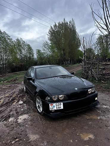авто полироль: BMW 5 series: 2001 г., 3 л, Механика, Бензин, Седан — 1