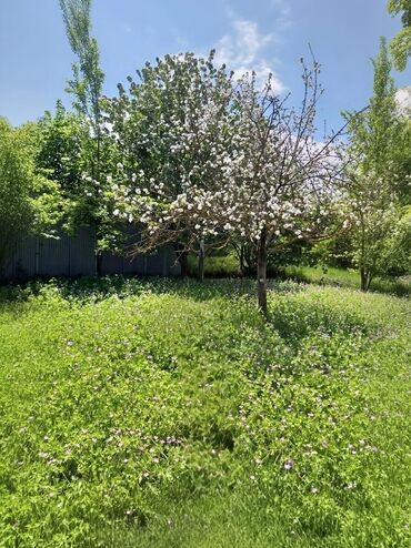 Torpaq sahələrinin satışı: 4 sot, Tikinti, Maklerlər narahat etməsin, Kupça (Çıxarış) -da lalafo.az — 21 Torpaq sahələrinin satışı: 4 sot, Tikinti, Maklerlər narahat etməsin, Kupça (Çıxarış) — 21