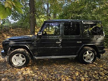 вин код корея: Mercedes-Benz G-Class: 2000 г., 5 л, Автомат, Бензин, Внедорожник — 4