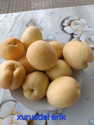 Tinglər: Telman Tingçilik – meyvə və ağac tingləri QEYD. şekildeki meyveler — 10