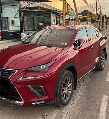 Lexus: Lexus NX: 2017 г., Автомат, Бензин, Кроссовер — 2