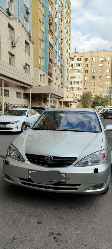 тойота чайзер купить: Toyota Camry: 2002 г., 2.4 л, Автомат, Бензин, Седан