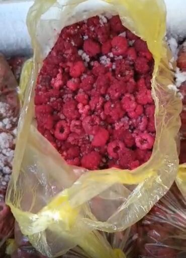 семена малины купить: Малина