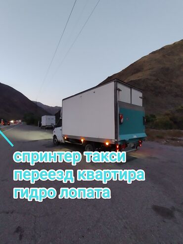 одноразовые стаканы с крышкой оптом: Бус, Көчүү, эмеректерди көчүрүү, Шаар ичинде, жүк ташуучу жумушчусу менен