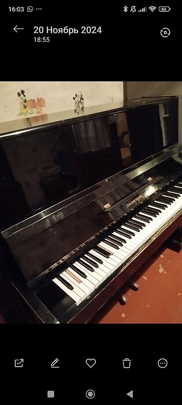 Musiqi alətləri: Qara rəngli, klassik korpuslu upright piano. Şəkillərdə alətin həm — 5