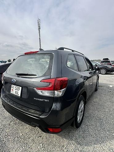 spark 7: Subaru Forester: 2019 г., 2.5 л, Вариатор, Бензин, Кроссовер — 4
