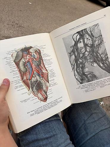 Kitablar və jurnallar: Məhsul: R. D. Sinelnikov – Atlas Anatomiı Çeloveka (İnsan — 5