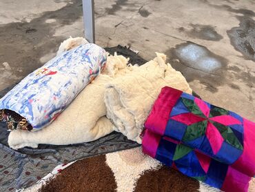 Одеяла и пледы: Одеяло, Шерсть, Зима