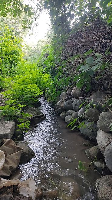 Продажа участков: 6 соток, Для бизнеса, Красная книга, Тех паспорт, Договор купли-продажи — 14