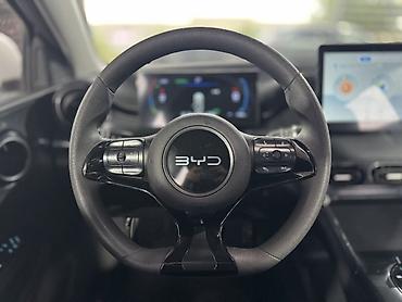 BYD: BYD E2: 2025 г., Автомат, Электромобиль, Хэтчбэк — 12