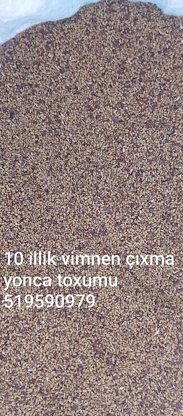 yuxuda gul ekmek: Məhsul: Yonca toxumu 4m.50q Təsvir: - Uzunömürlü növ üçün toxum (10 — 1