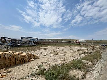 Torpaq: 25 sot, Tikinti, Kupça (Çıxarış) — 2