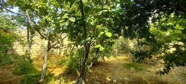 Həyət evləri və villaların satışı: 3 otaqlı, 120 kv. m, Yeni təmirli -da lalafo.az — 3 Həyət evləri və villaların satışı: 3 otaqlı, 120 kv. m, Yeni təmirli — 3