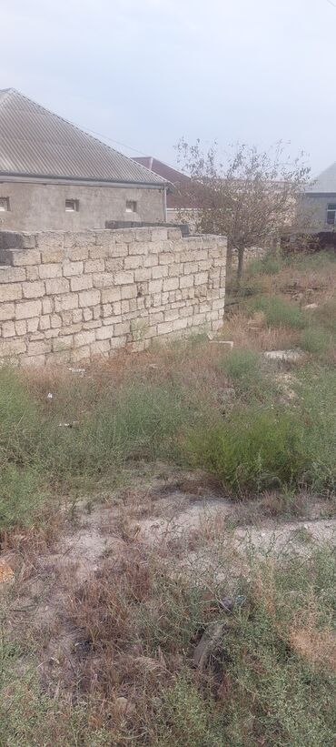 Torpaq sahələrinin satışı: 8 sot, Mülkiyyətçi, Bələdiyyə — 10