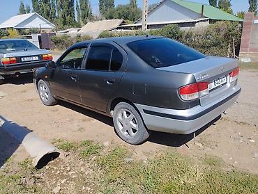 реставрация рулевой рейки бишкек: Nissan Primera: 1998 г., Механика, Седан — 4