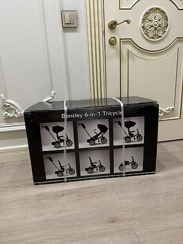 bentle: Детский трёхколёсный велосипед Bentley 6-in-1 (Bentley Tricycle) — 3