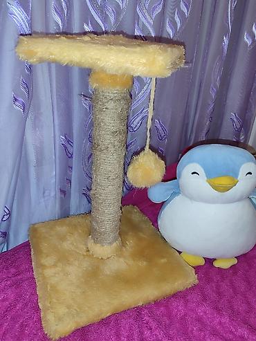 toy pudil: Pişik üçün tirma və oyun stanoku - Material: sisal iplə bərkidilmiş — 2