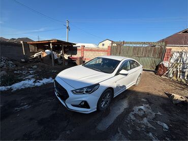 Hyundai: Hyundai Sonata: 2018 г., 2 л, Автомат, Газ, Седан — 4