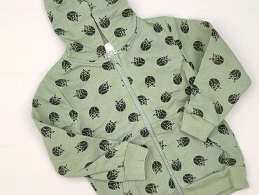 koszulka do kapieli dla dzieci: Bluza, Fox&Bunny, 3-4 lat, 98-104 cm, stan - Bardzo dobry