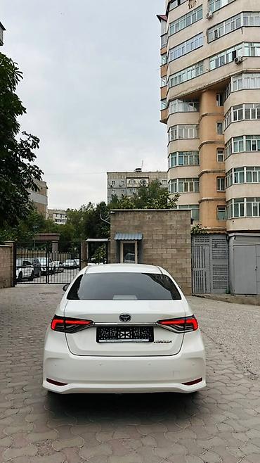 Toyota: Toyota Corolla: 2020 г., 1.8 л, Автомат, Гибрид, Седан — 4