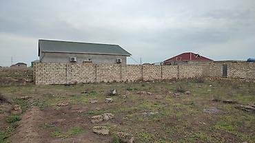 cıxarış nədir: 3 sot, Kənd təsərrüfatı, Kupça (Çıxarış) — 2