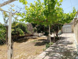 Torpaq sahələrinin satışı: 9 sot, Kupça (Çıxarış) — 11