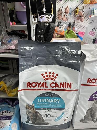 корма для кошек: ROYAL CANIN — сухие корма для кошек ‼️‼️‼️1кг 1120сом все виды‼️‼️‼️ — 1
