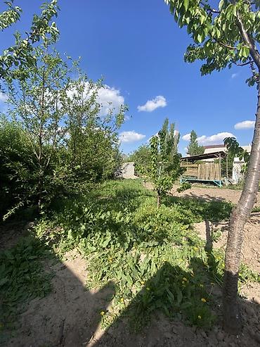 Үйлөрдү сатуу: 6 бөлмө жана андан көп, 100 м², 8 соток, Бишкек, Арча-Бешик ж/м Менчик ээси — 2