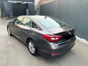 полик на авто: Hyundai Sonata: 2016 г., 2.4 л, Автомат, Бензин, Хэтчбэк