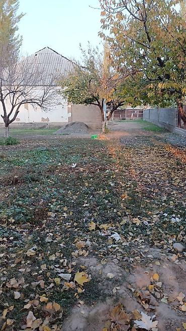 nice house: 4 комнаты, 100 м², 11 соток, Ош, Собственник — 2