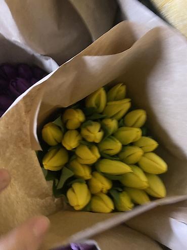 Букеты из живых цветов: Тюльпаны к 8 Марта — опт и розница. - Свежесрезанные тюльпаны разных — 8