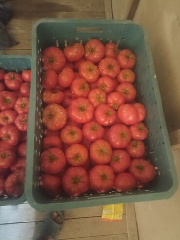 Мясная и рыбная продукция: Pamidor var isteyen zəng edə bilər ünvan nardaran kilosu 1 manat