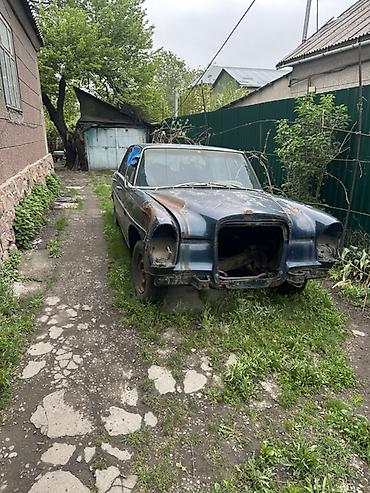 mers c class: Mercedes-Benz : 1969 г., 3.5 л, Седан — 1