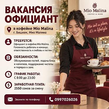 Официанты: Требуется Официант Оплата: Еженедельно — 1