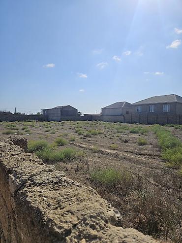 Torpaq sahələrinin satışı: 8 sot, Tikinti, Kupça (Çıxarış) — 6